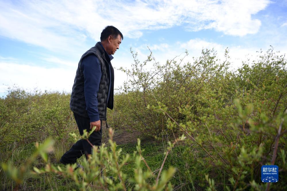 皇冠游戏网
